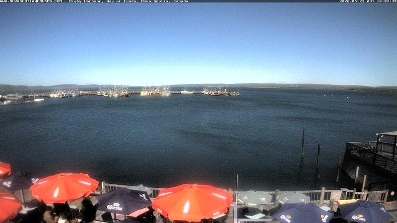 Digby Harbour