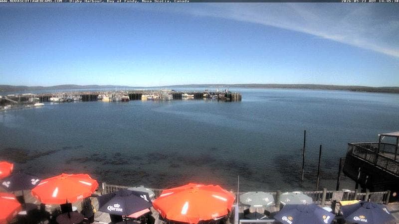 Digby Harbour