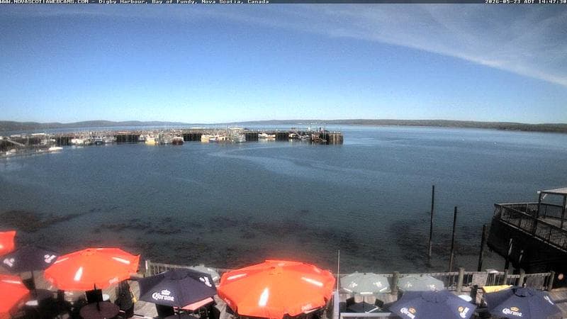 Digby Harbour