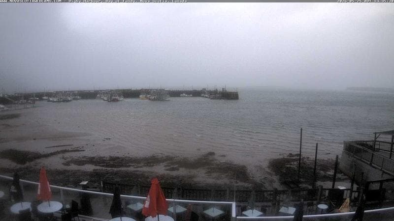 Digby Harbour
