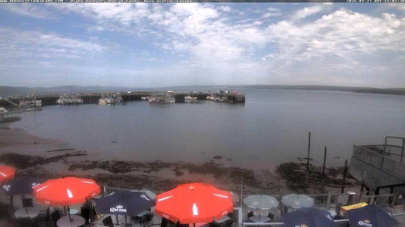 Digby Harbour