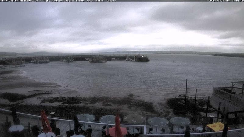 Digby Harbour