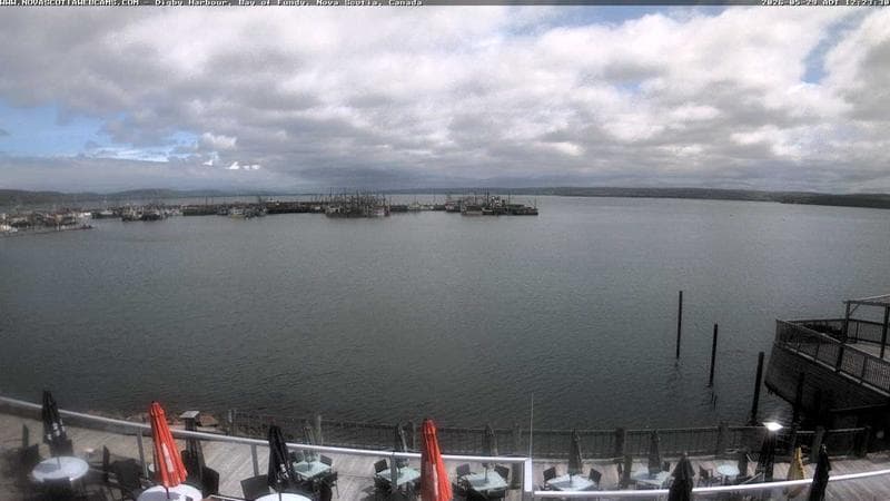 Digby Harbour
