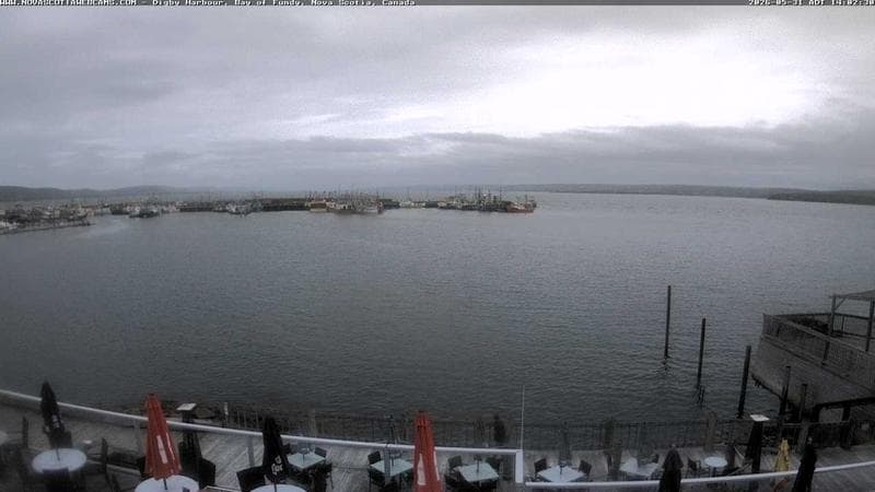Digby Harbour
