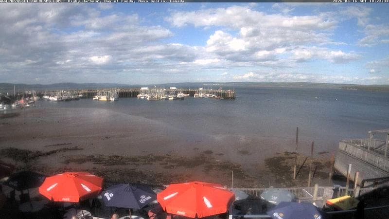 Digby Harbour