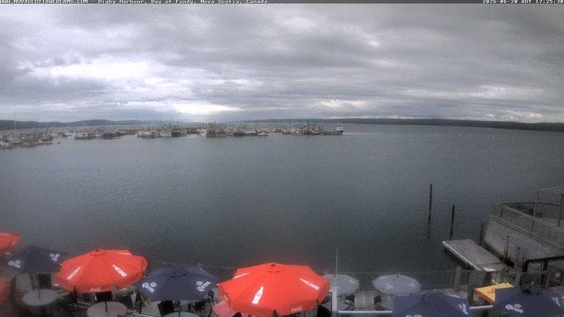 Digby Harbour
