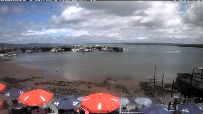 Digby Harbour