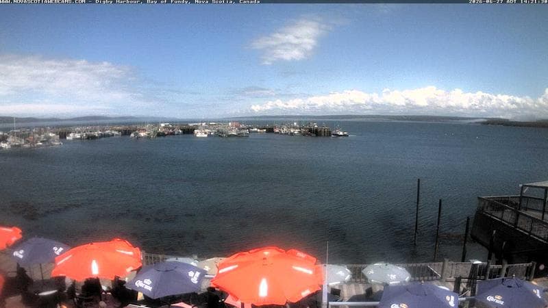 Digby Harbour
