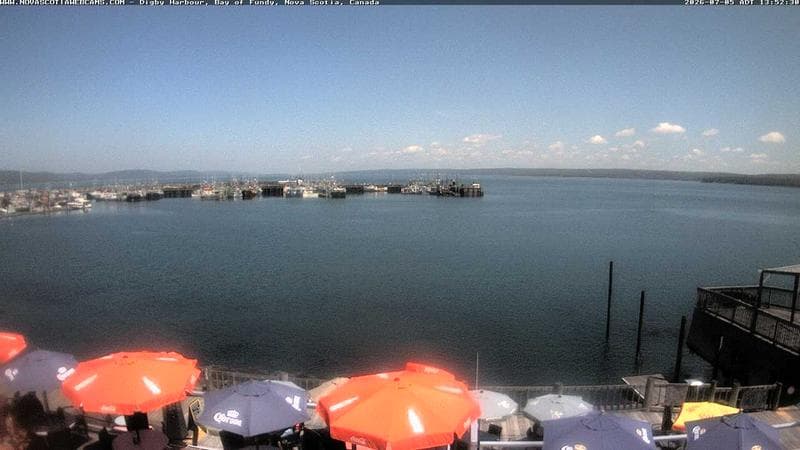 Digby Harbour