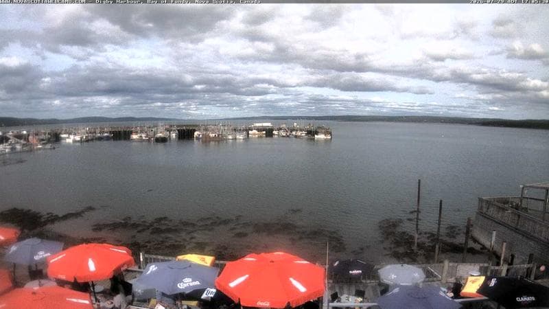 Digby Harbour