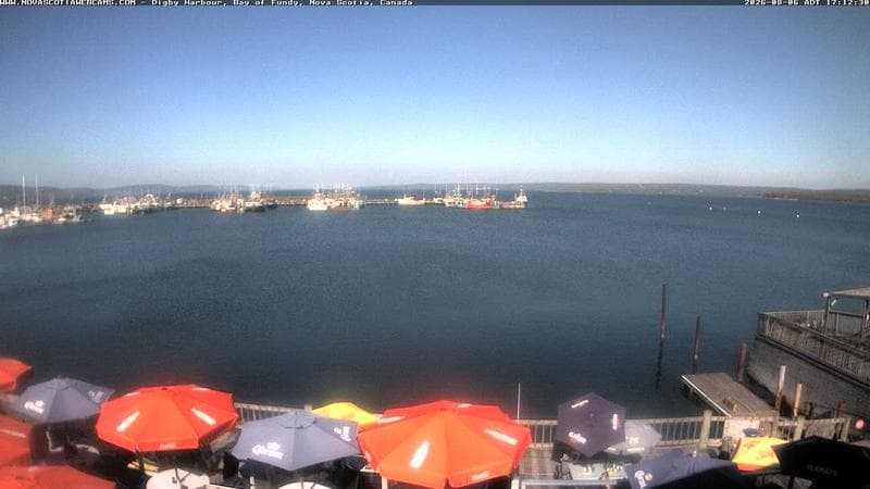 Digby Harbour