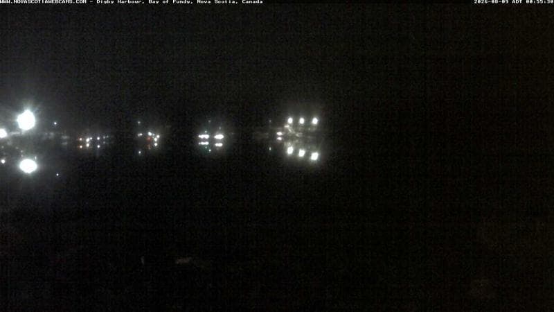 Digby Harbour