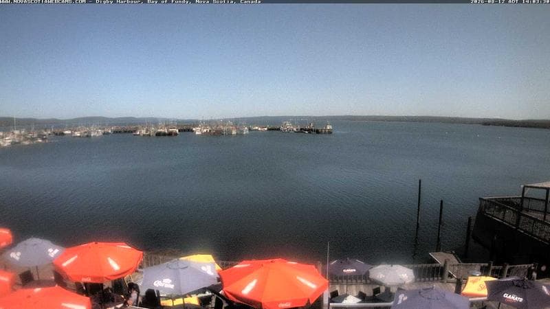 Digby Harbour