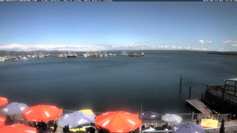 Digby Harbour