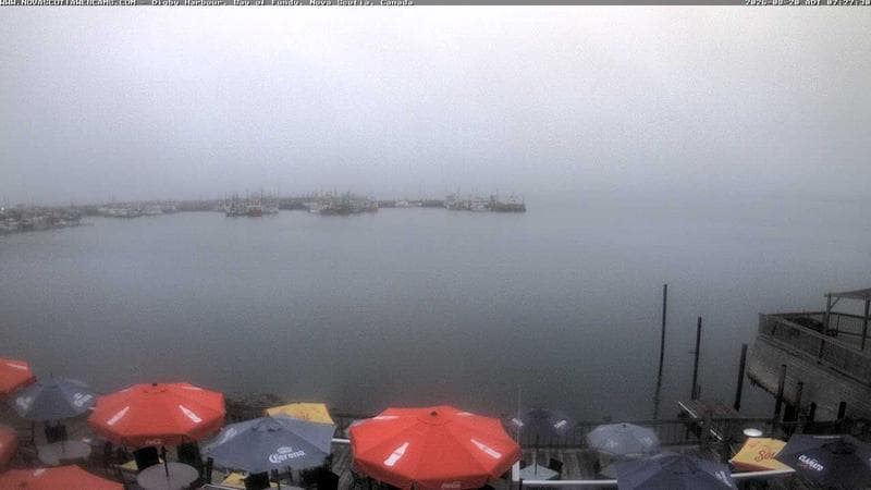 Digby Harbour
