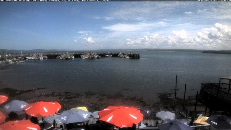 Digby Harbour