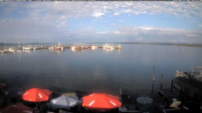 Digby Harbour