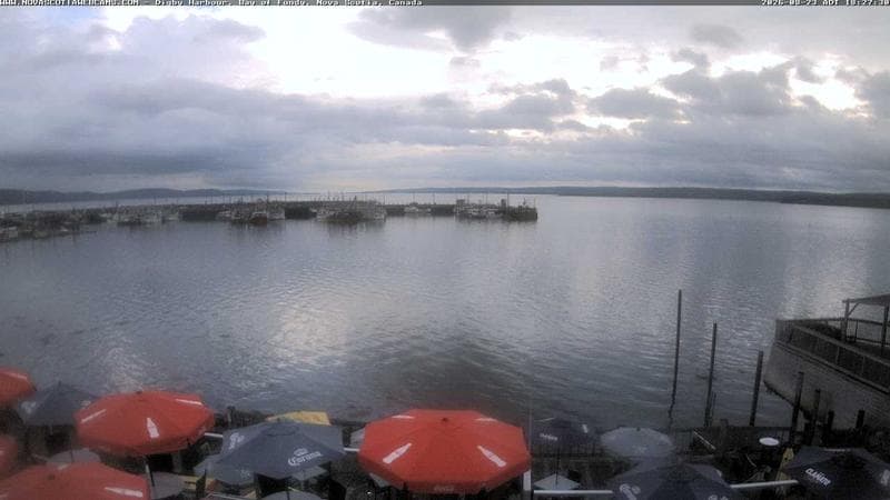 Digby Harbour