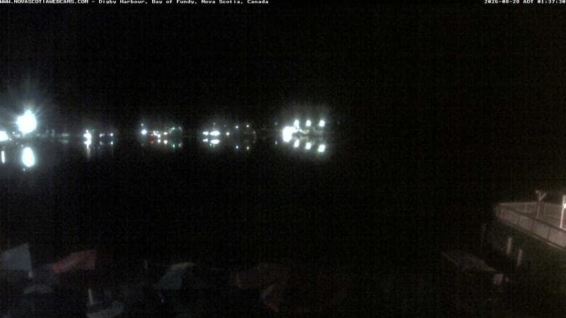 Digby Harbour