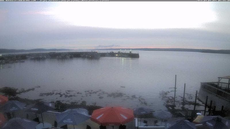 Digby Harbour