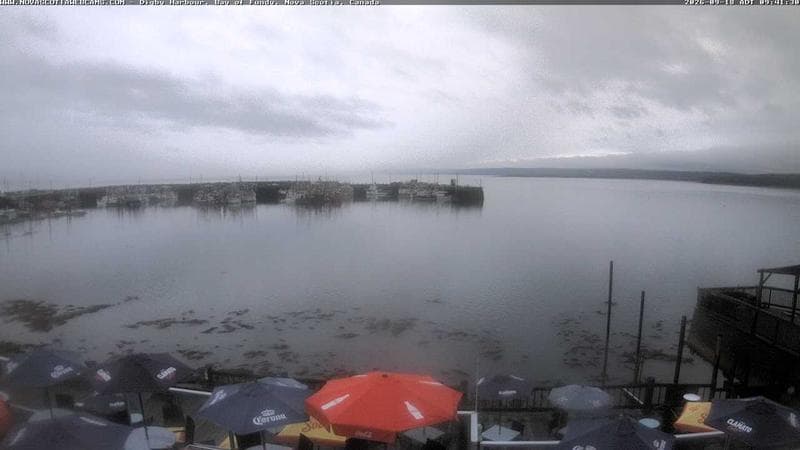 Digby Harbour