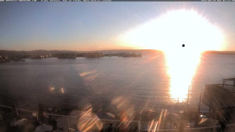 Digby Harbour