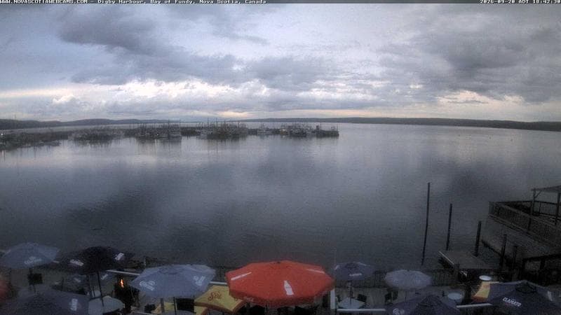 Digby Harbour