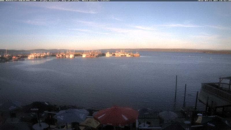 Digby Harbour