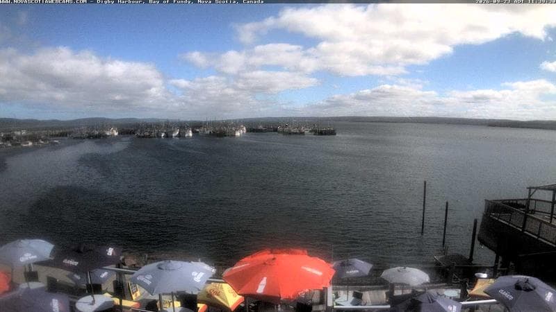 Digby Harbour
