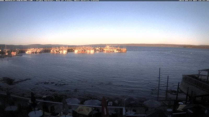 Digby Harbour