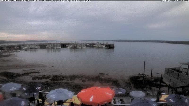 Digby Harbour