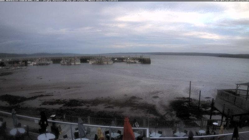 Digby Harbour