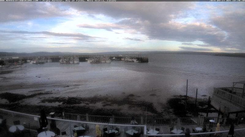 Digby Harbour