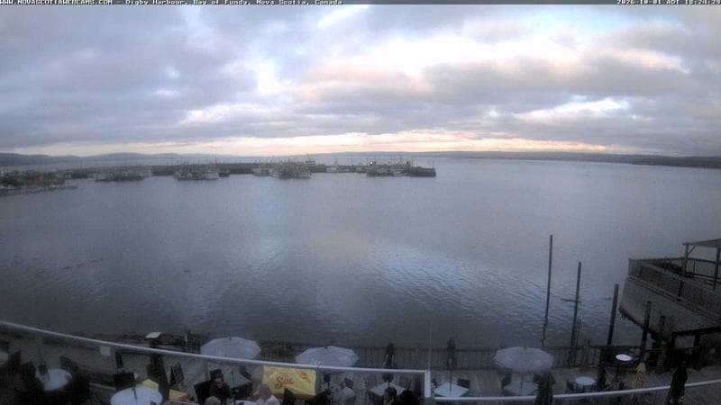 Digby Harbour