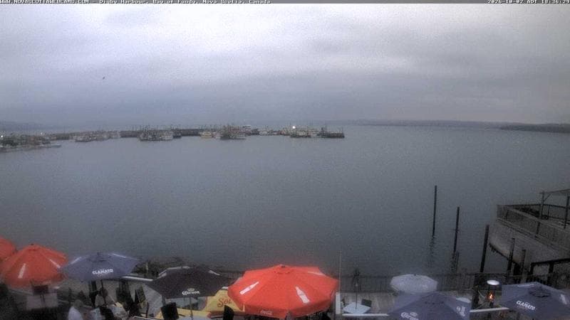Digby Harbour