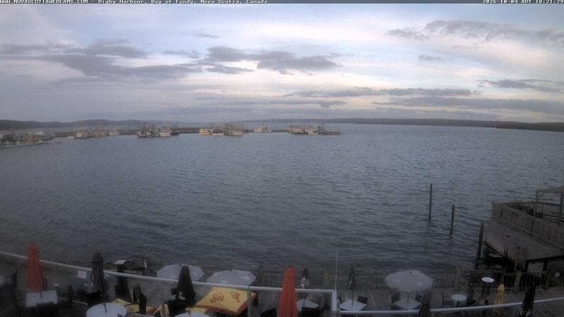 Digby Harbour