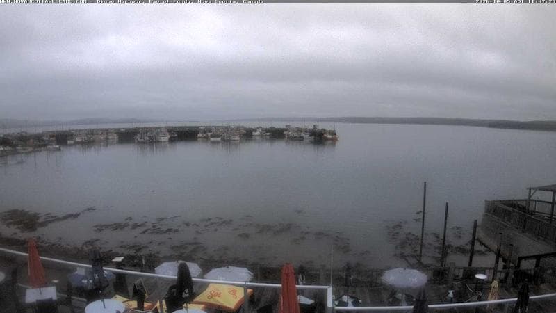 Digby Harbour