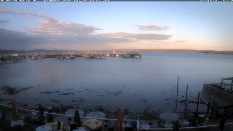 Digby Harbour