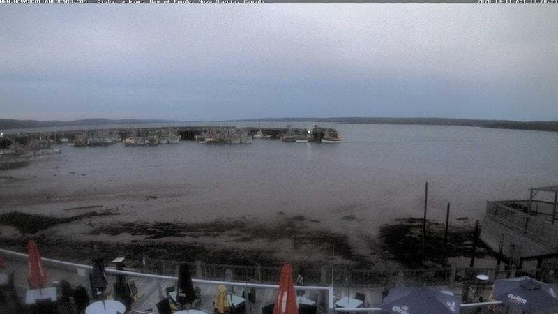 Digby Harbour