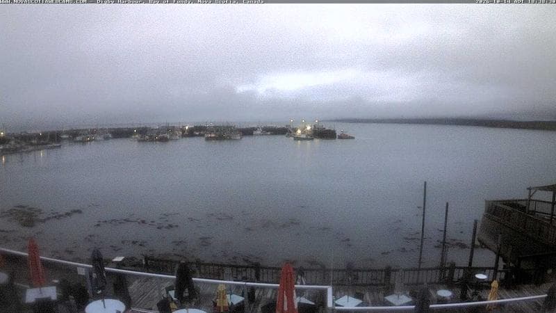 Digby Harbour