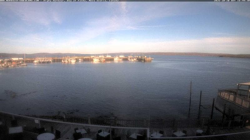Digby Harbour