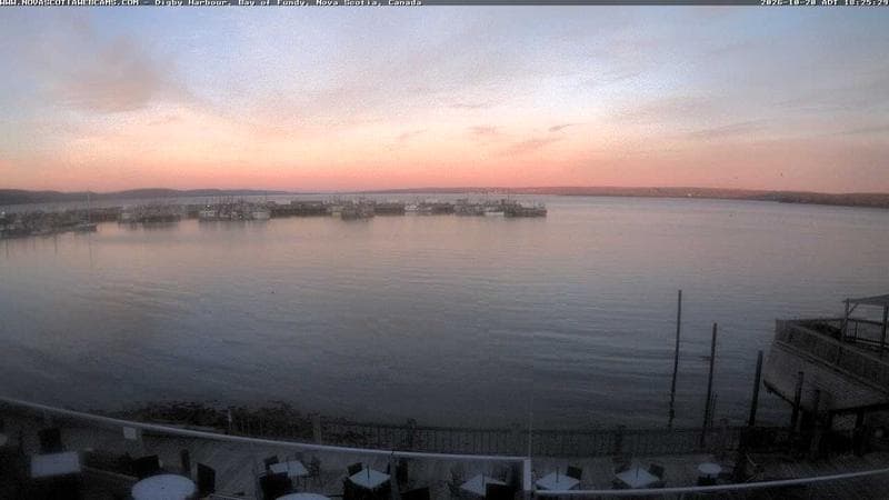 Digby Harbour