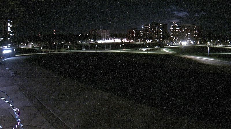 Emera Oval