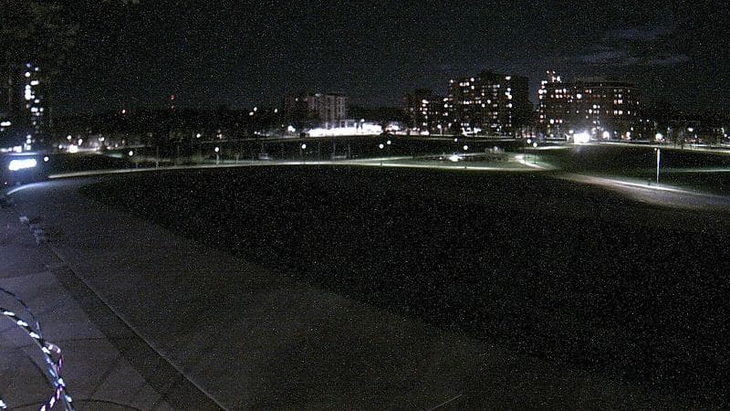 Emera Oval