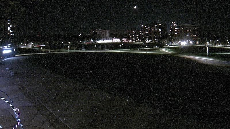 Emera Oval