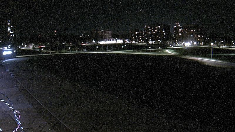 Emera Oval