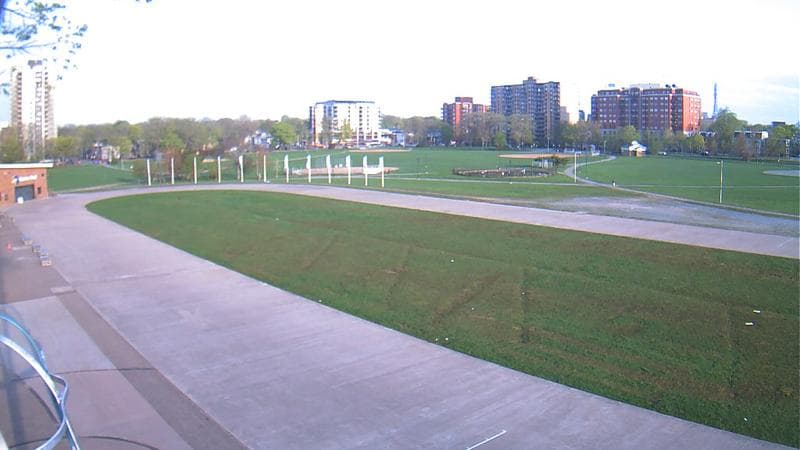 Emera Oval