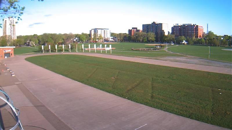 Emera Oval