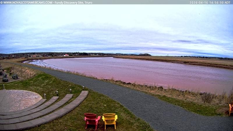 Fundy Discovery Site
