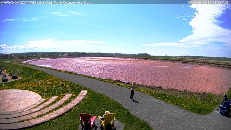 Fundy Discovery Site